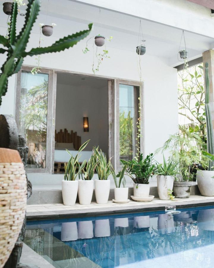 Cat Cow Yoga Villa Canggu  Exterior photo